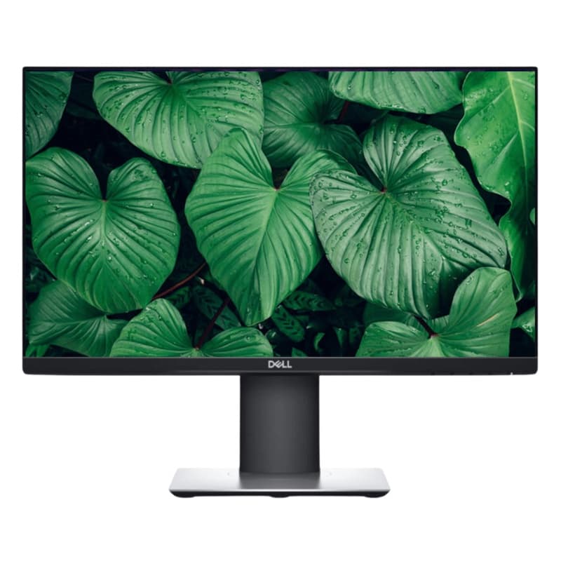 Dell P2219H
